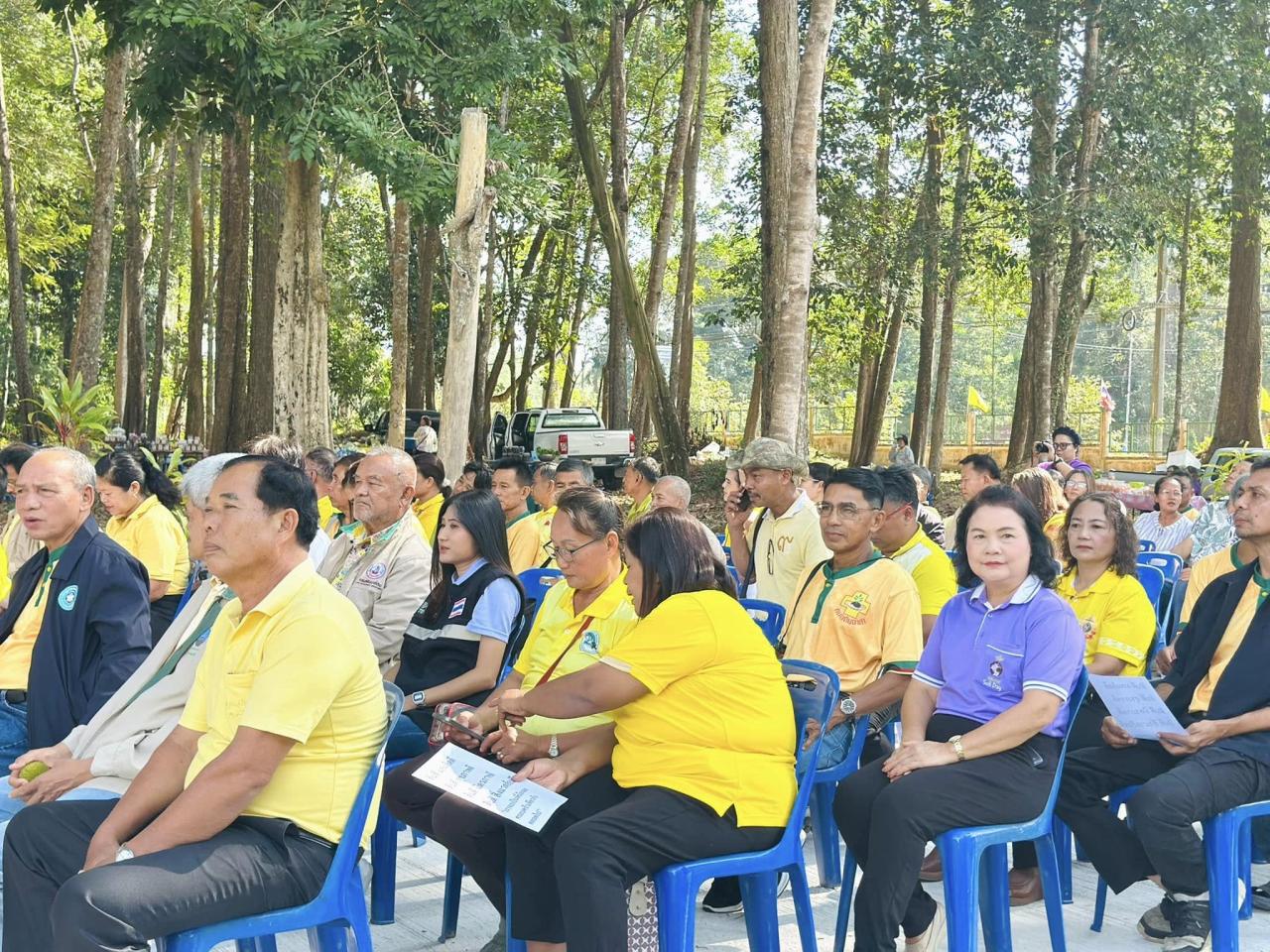 ภาพประกอบที่ 11