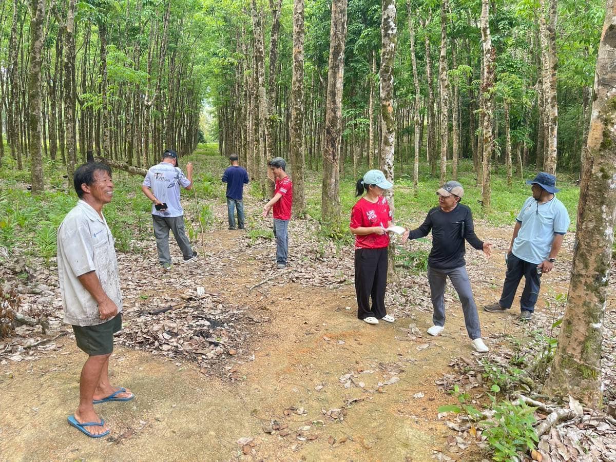 ภาพประกอบที่ 3
