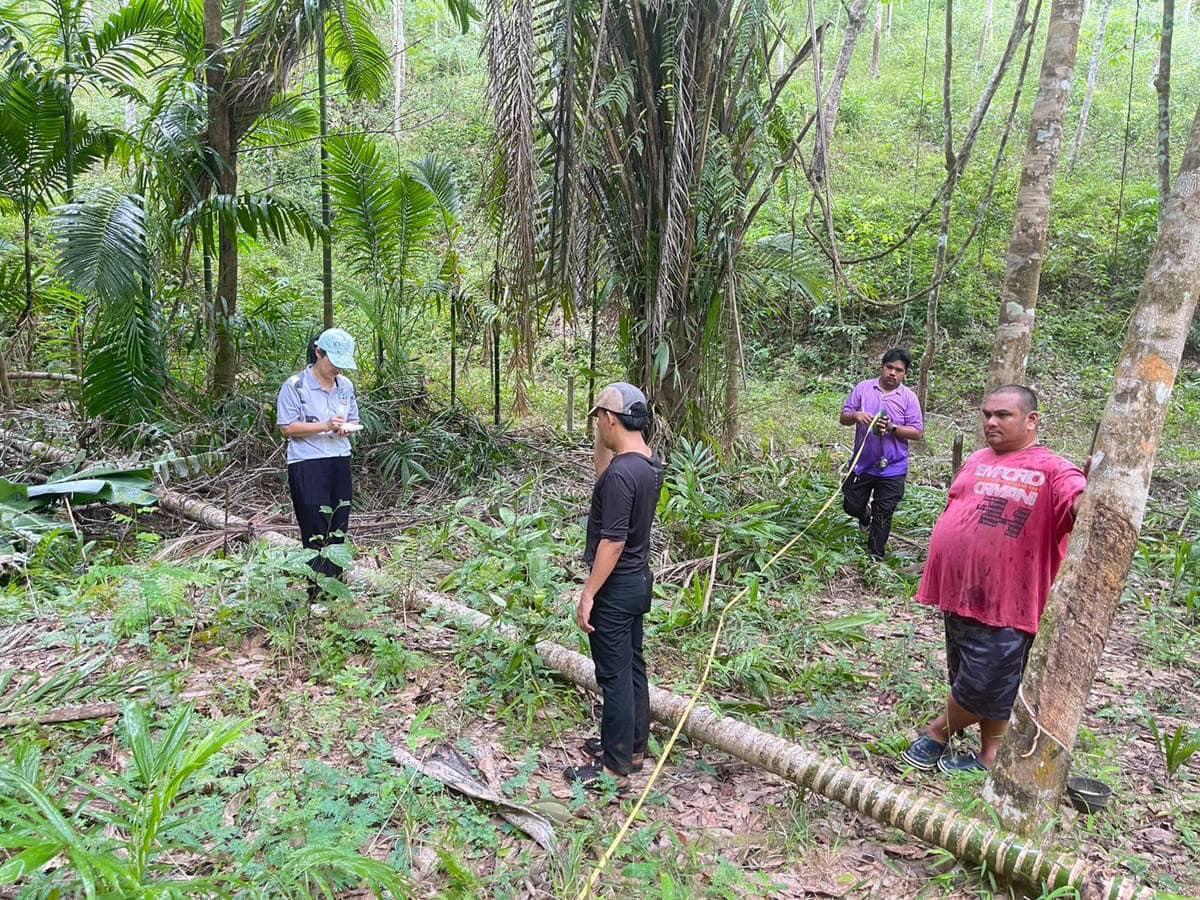 ภาพประกอบที่ 4