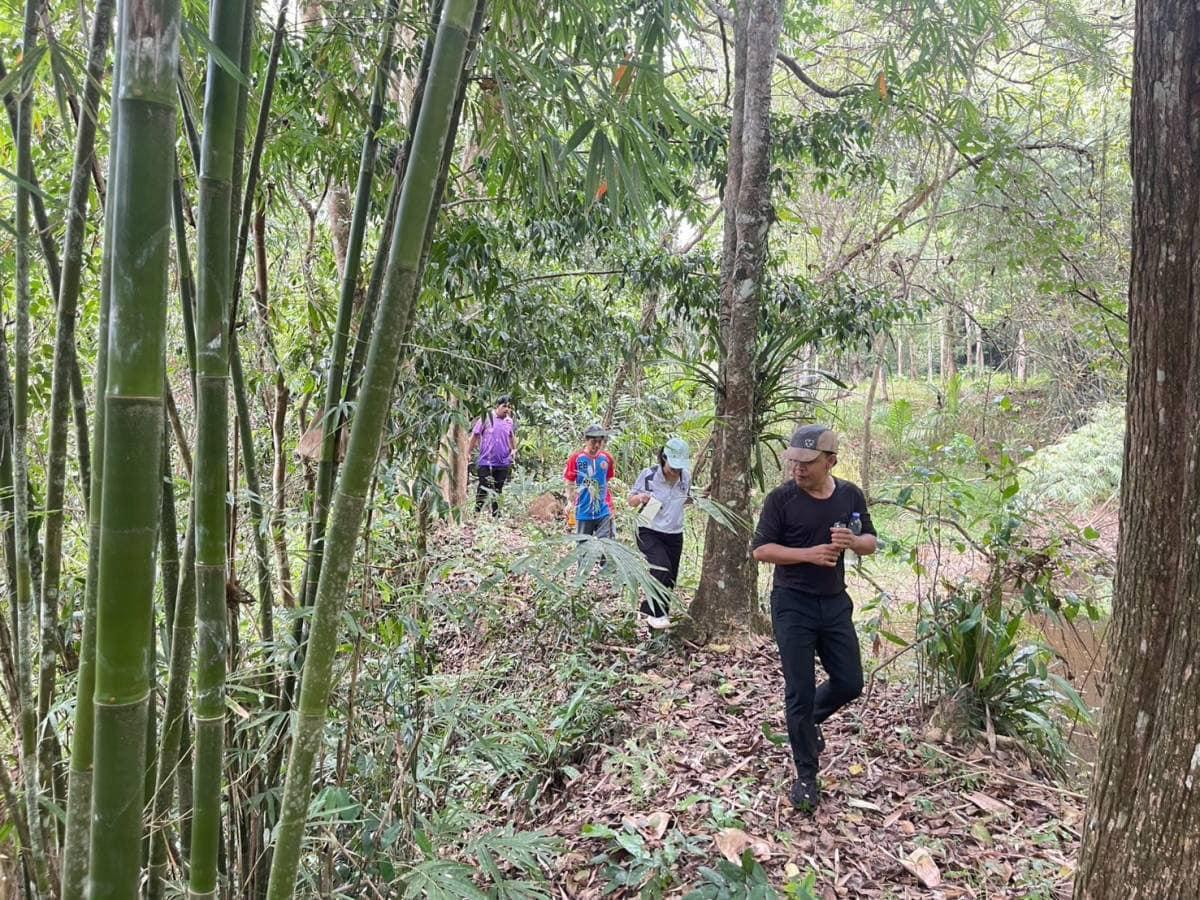 ภาพประกอบที่ 5