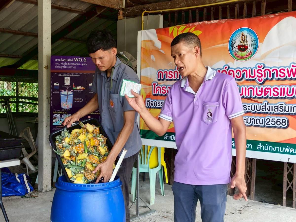 ภาพประกอบที่ 2