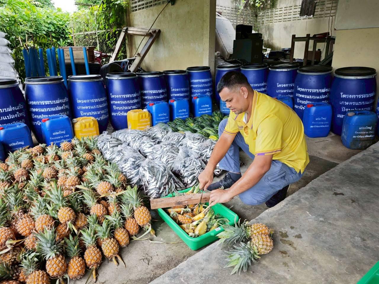 ภาพประกอบที่ 5