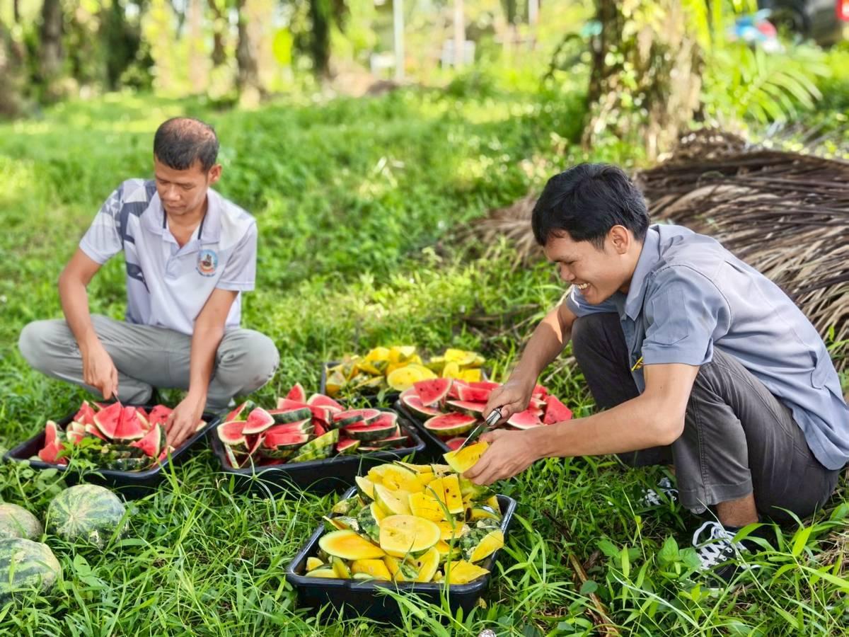 ภาพประกอบที่ 1