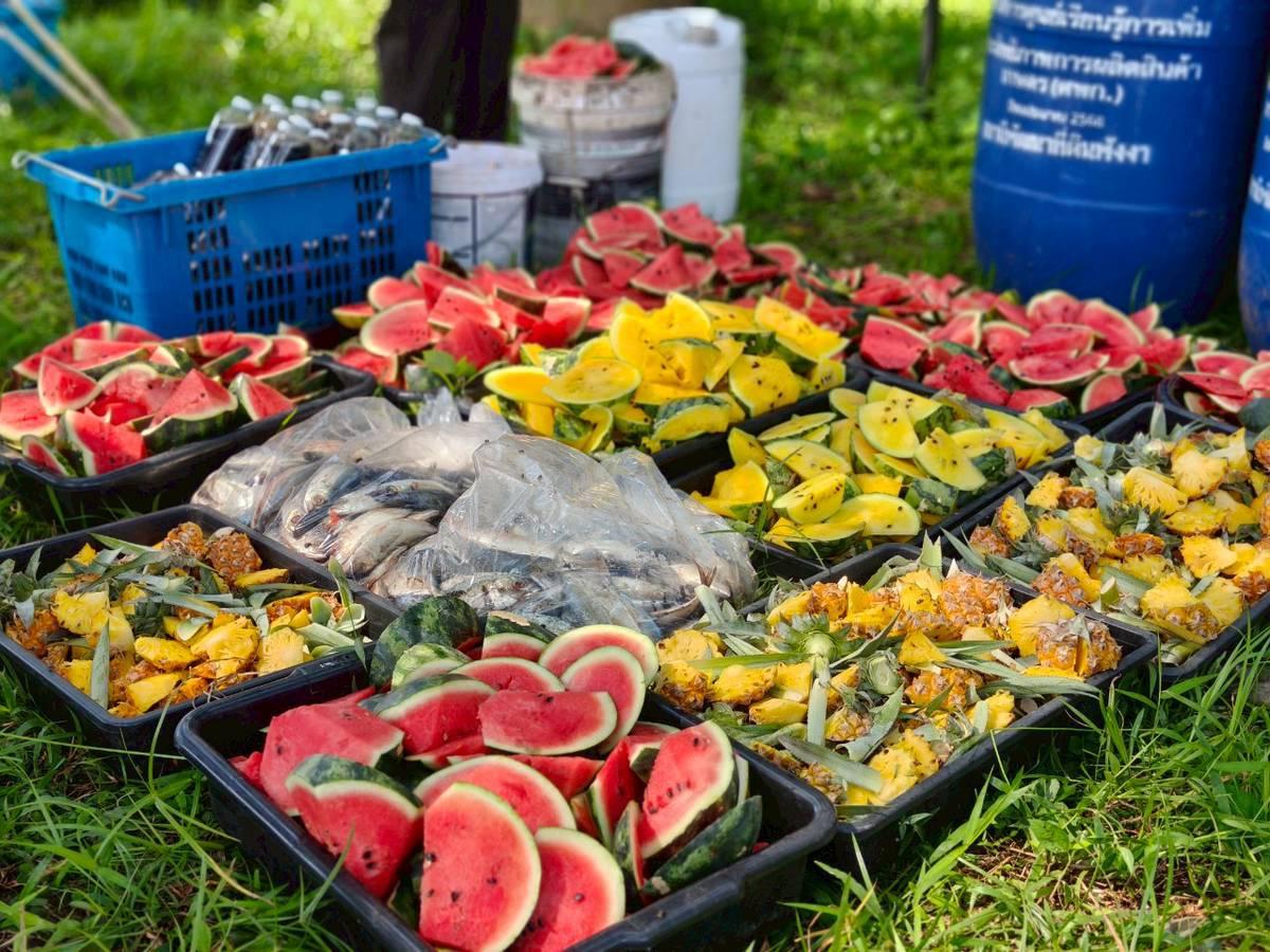 ภาพประกอบที่ 2