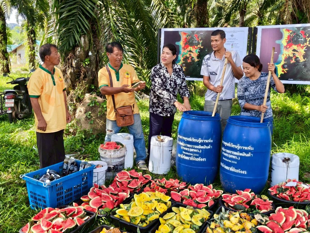 ภาพประกอบที่ 3
