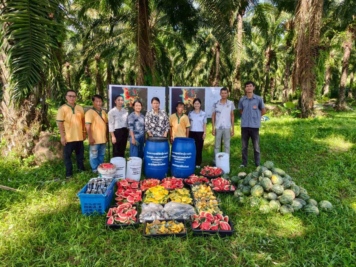 ภาพประกอบที่ 6