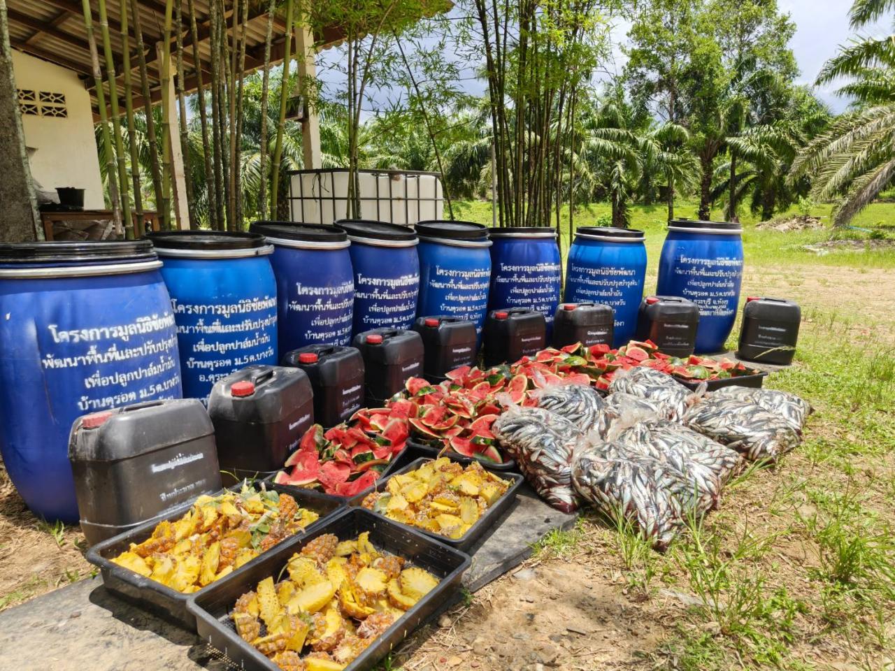 ภาพประกอบที่ 1