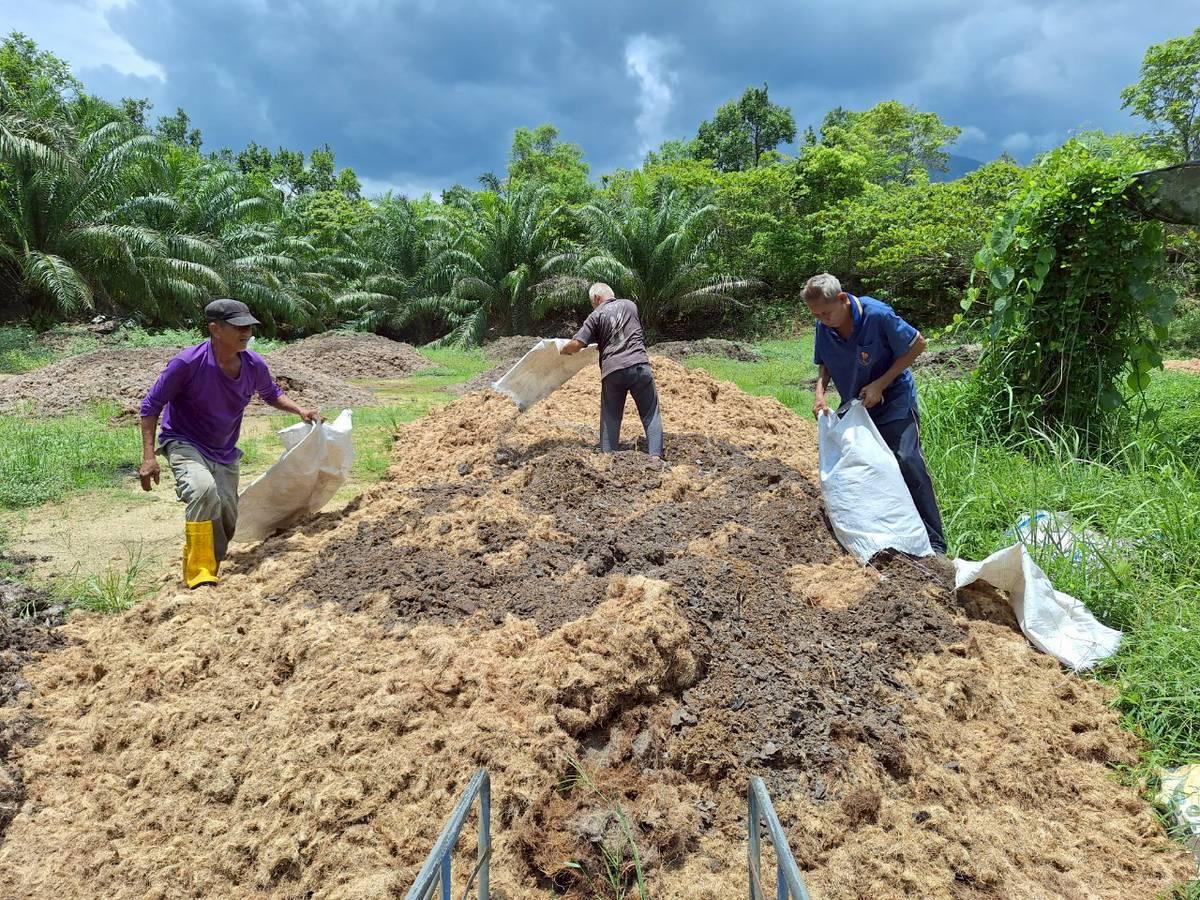 ภาพประกอบที่ 5