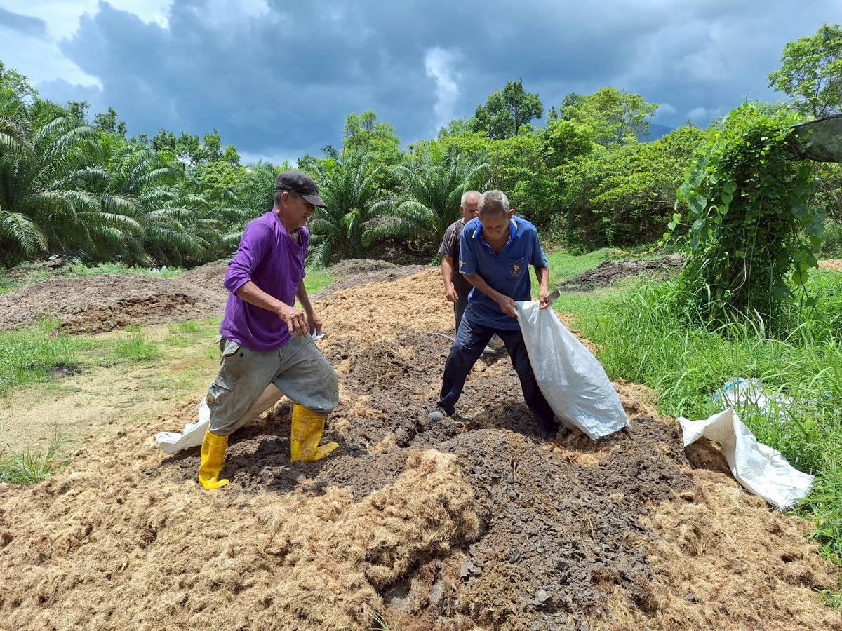 ภาพประกอบที่ 6