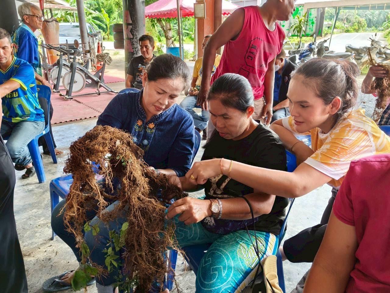 ภาพประกอบที่ 2