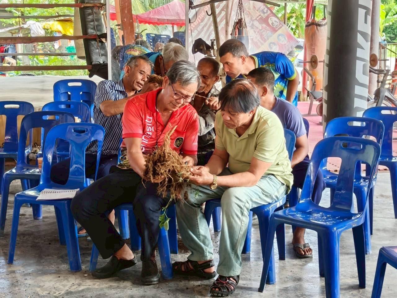 ภาพประกอบที่ 5