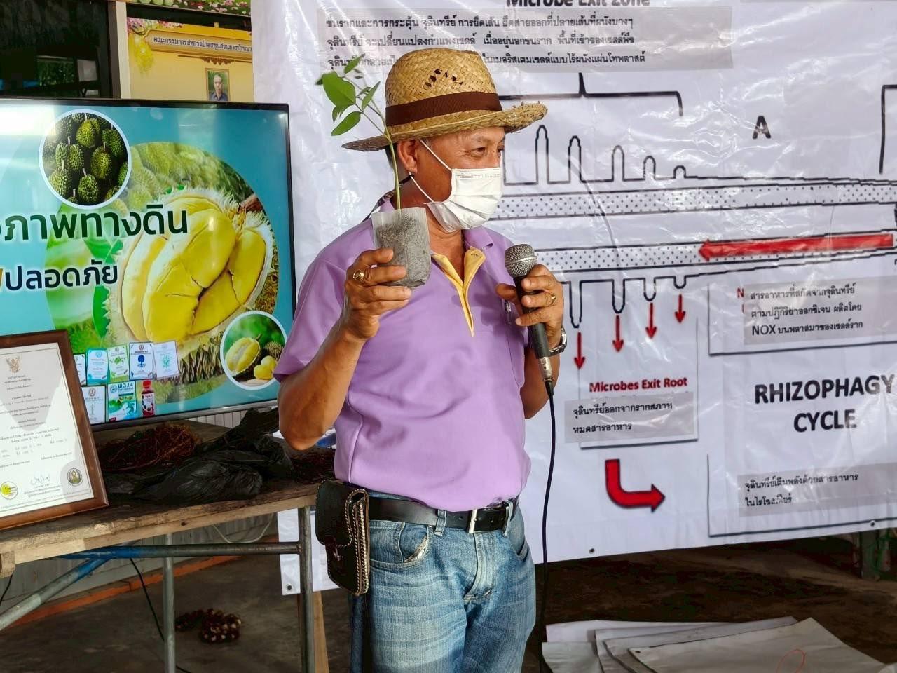 ภาพประกอบที่ 7