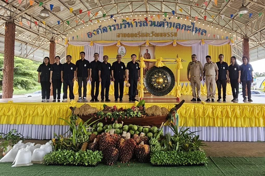 ภาพประกอบที่ 9