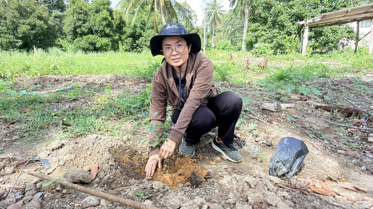ภาพประกอบที่ 8