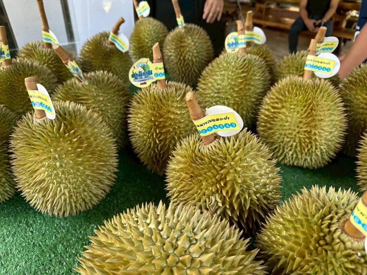 ภาพประกอบที่ 0