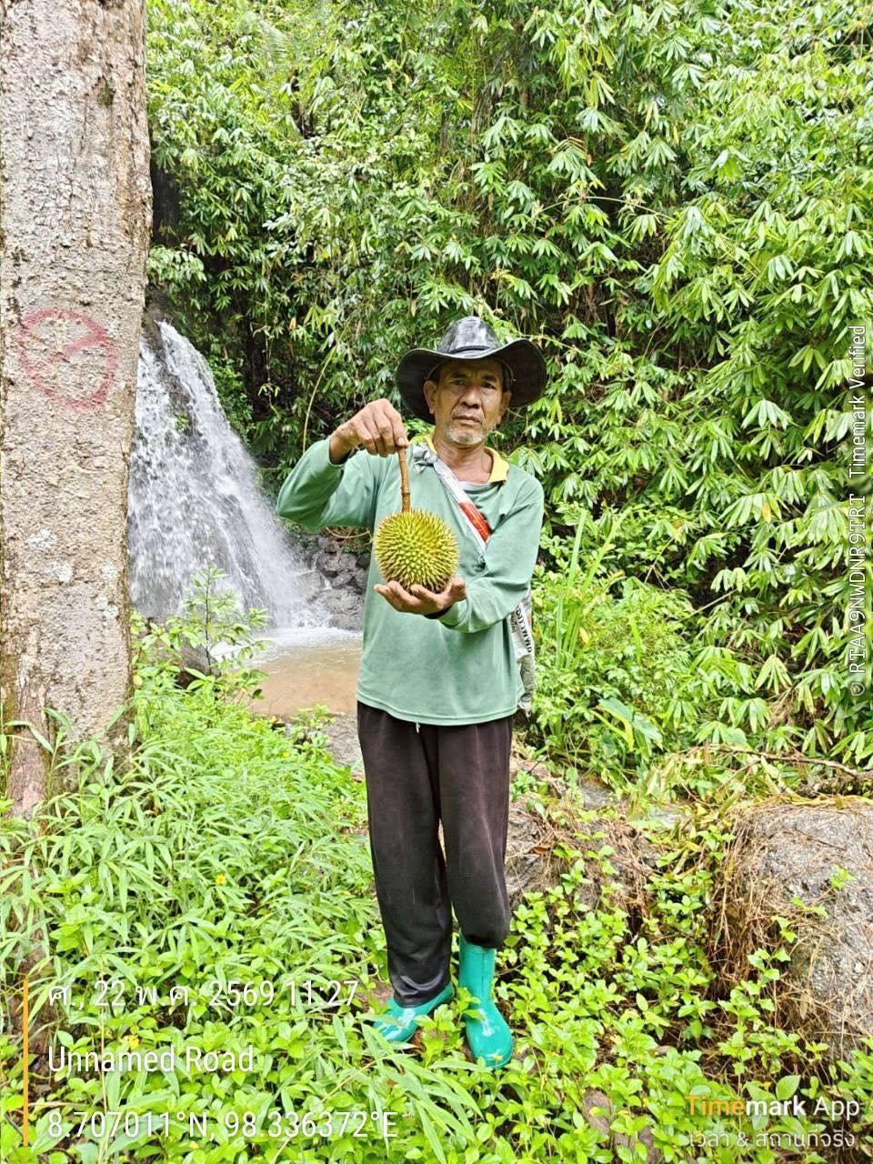 ภาพประกอบที่ 4