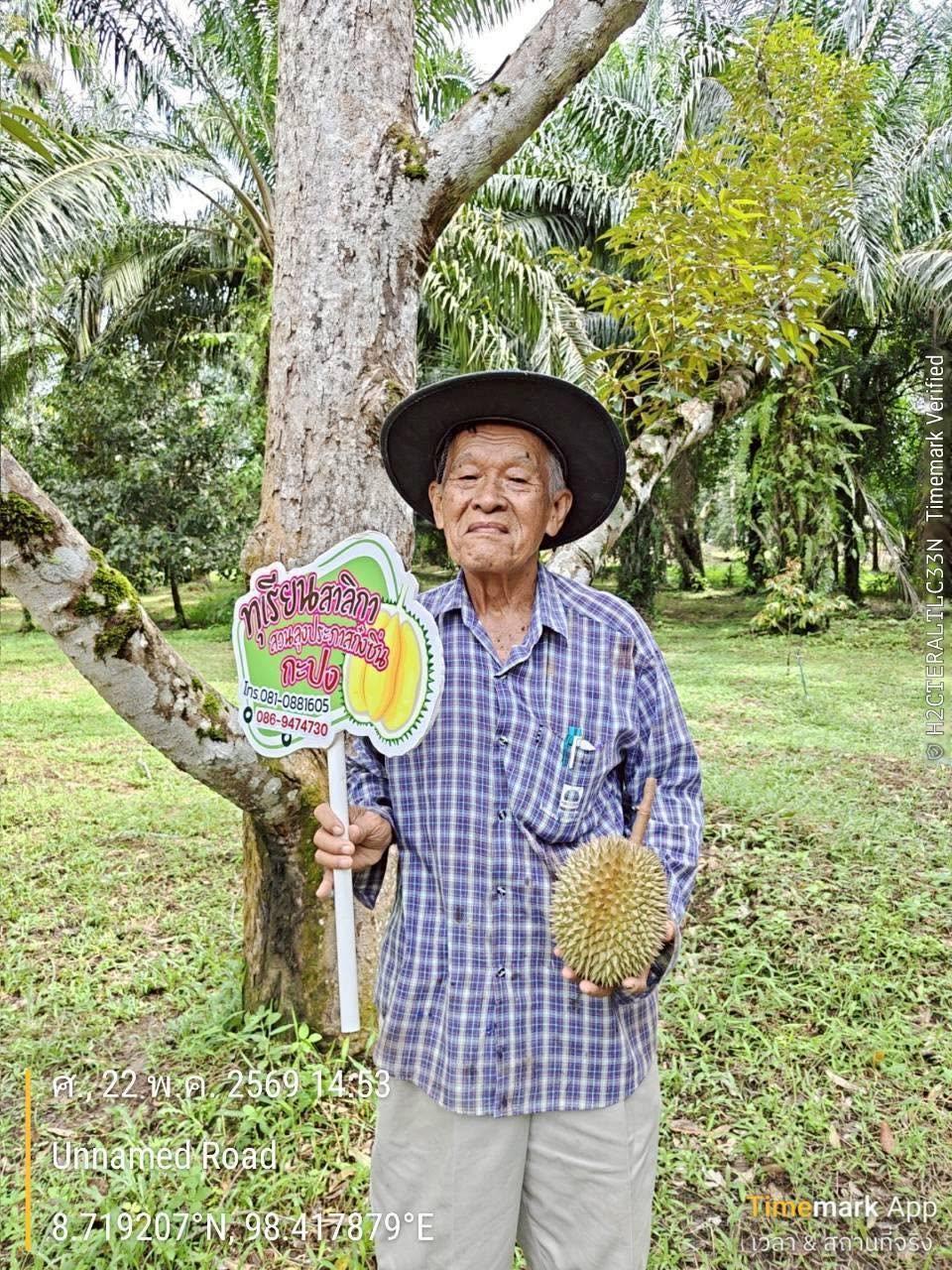 ภาพประกอบที่ 6