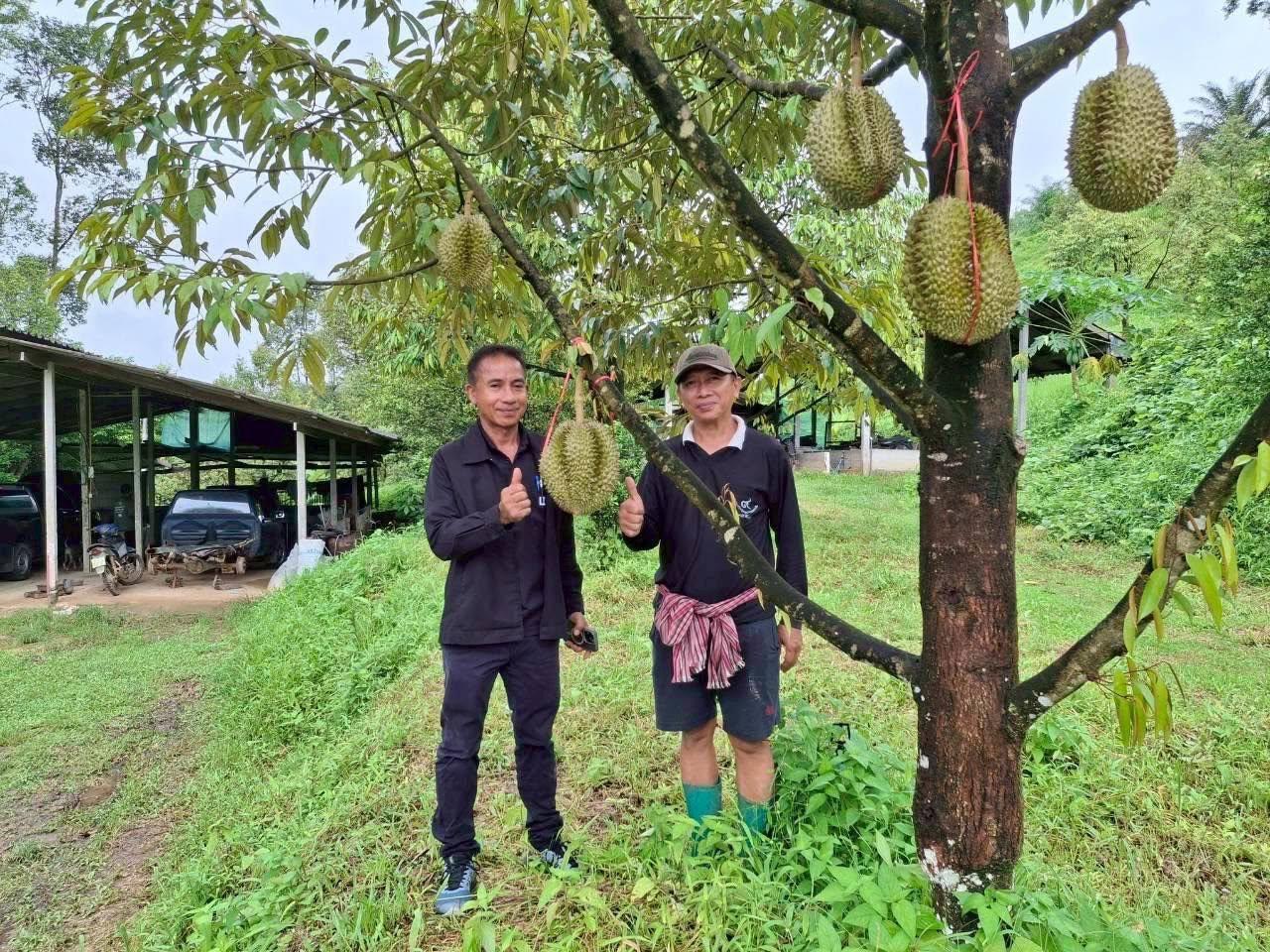 ภาพประกอบที่ 2