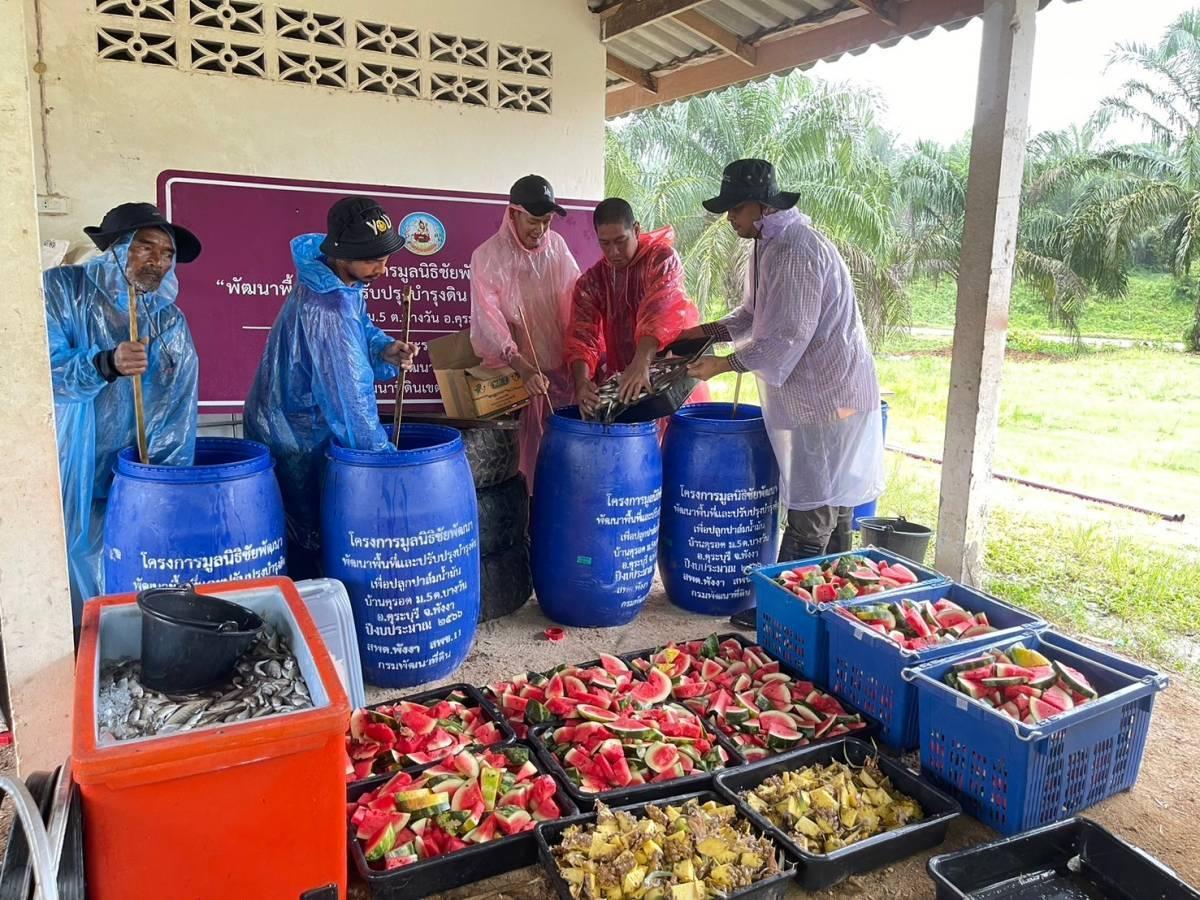 ภาพประกอบที่ 1