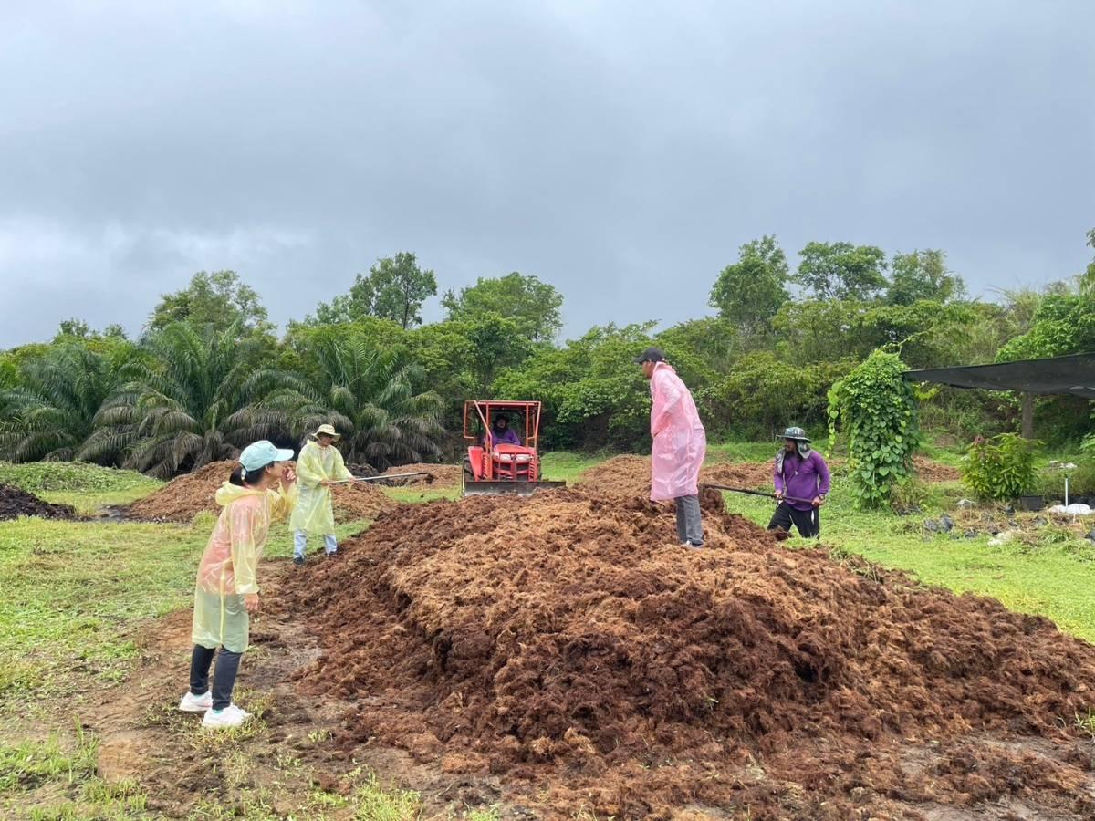 ภาพประกอบที่ 3