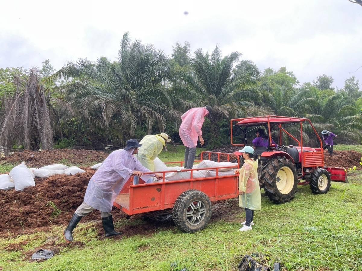 ภาพประกอบที่ 4