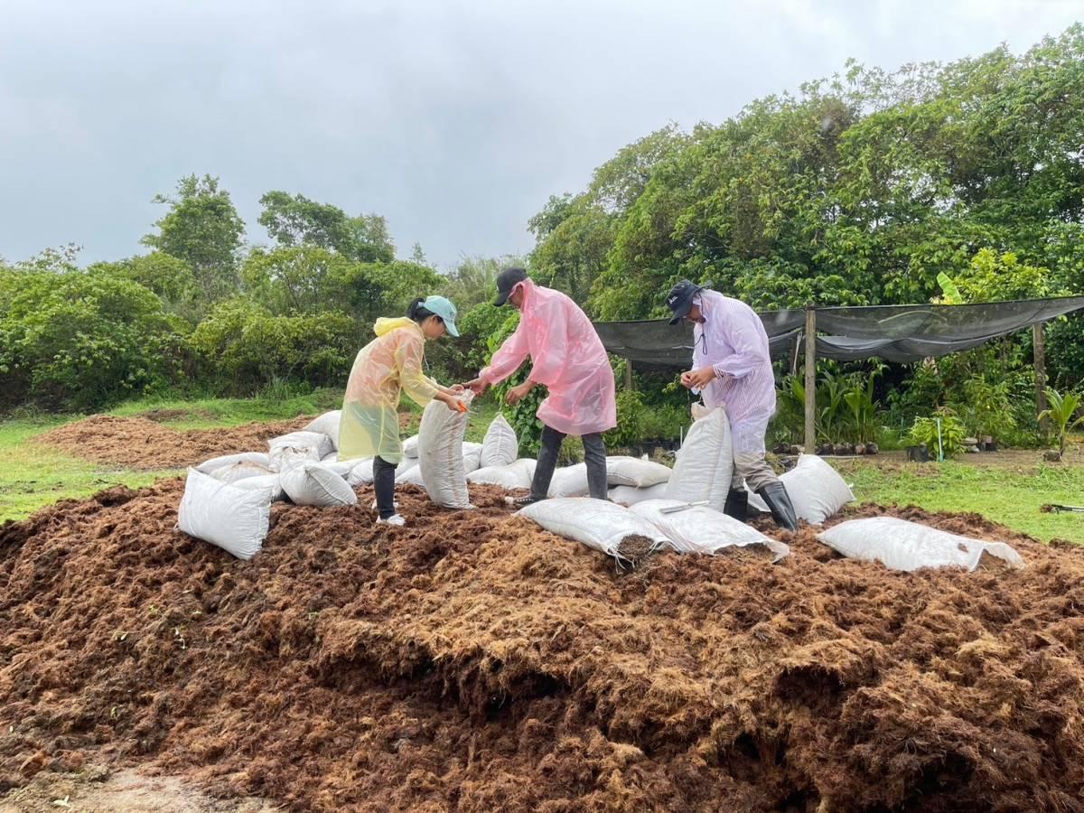 ภาพประกอบที่ 5