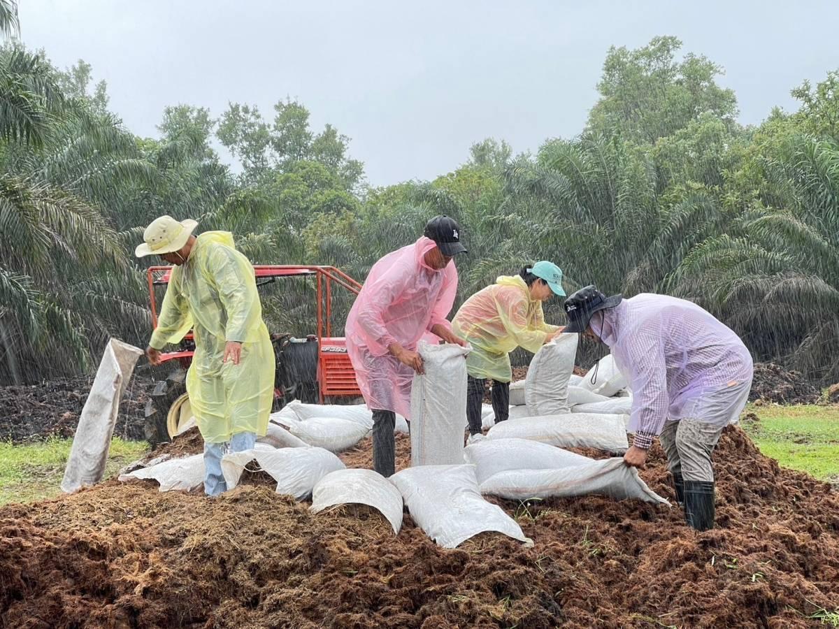 ภาพประกอบที่ 6