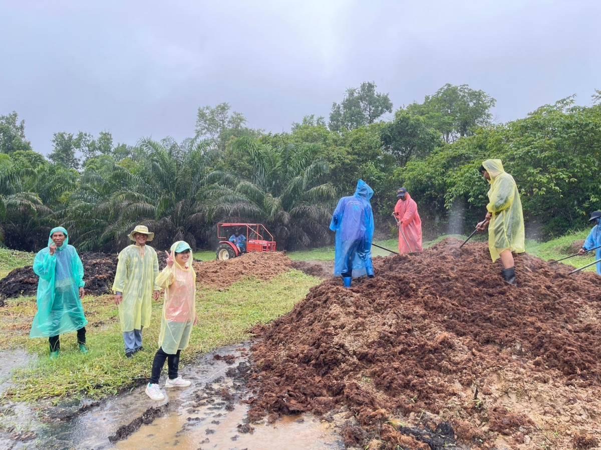 ภาพประกอบที่ 7