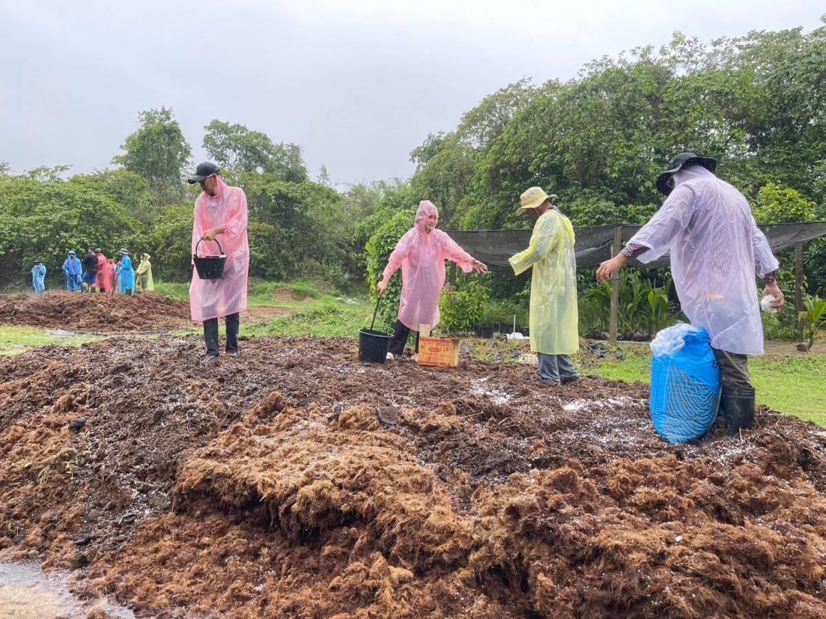 ภาพประกอบที่ 8