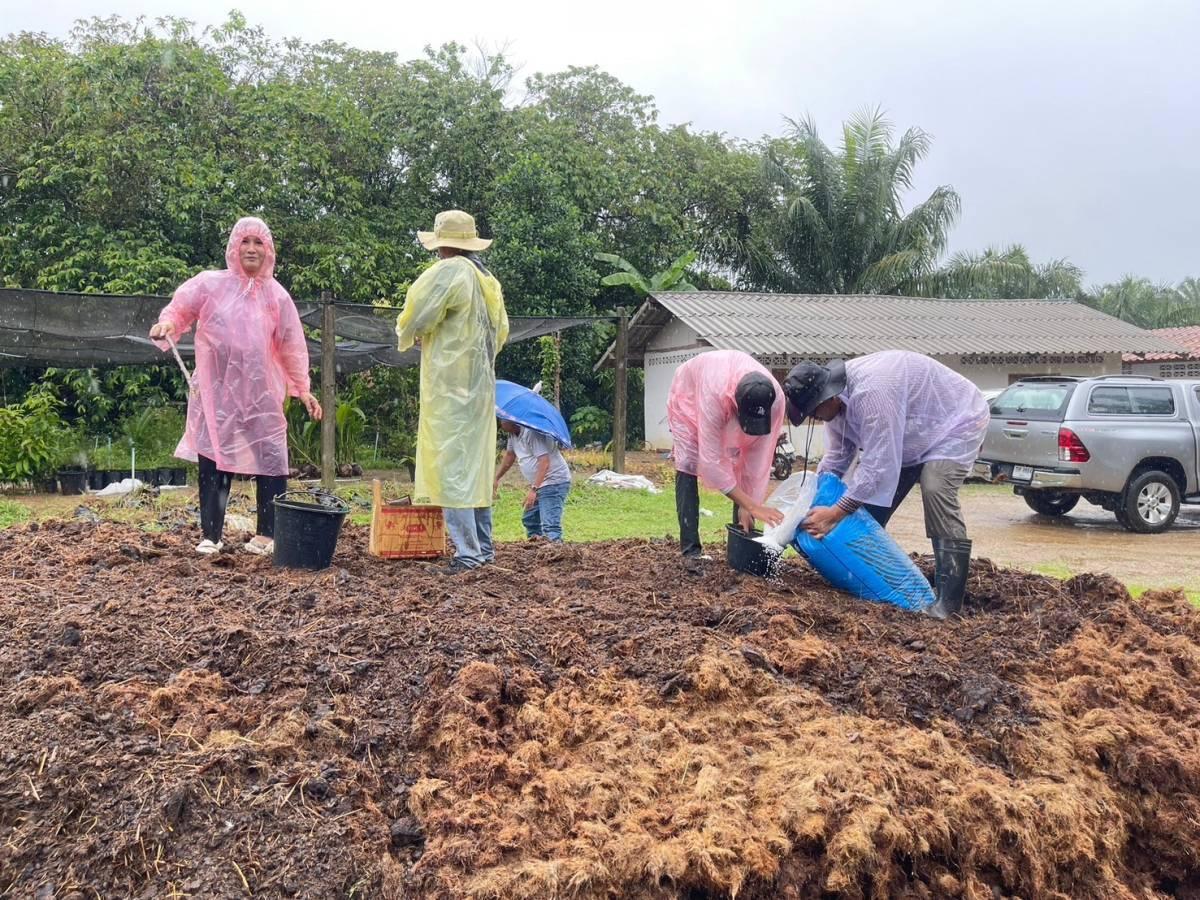 ภาพประกอบที่ 9