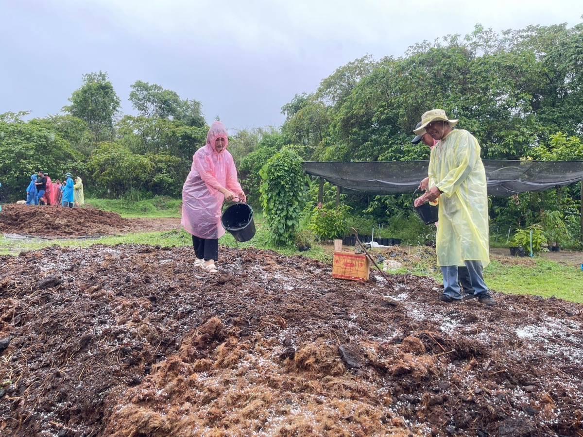 ภาพประกอบที่ 10