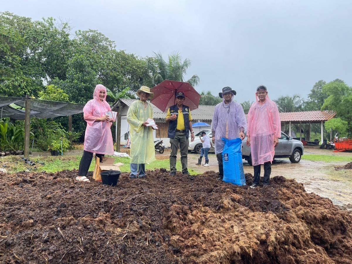 ภาพประกอบที่ 11