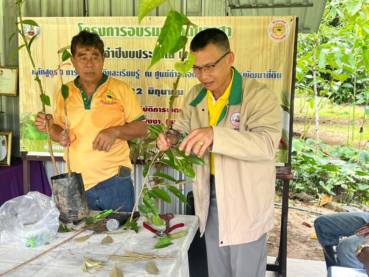 ภาพประกอบที่ 7