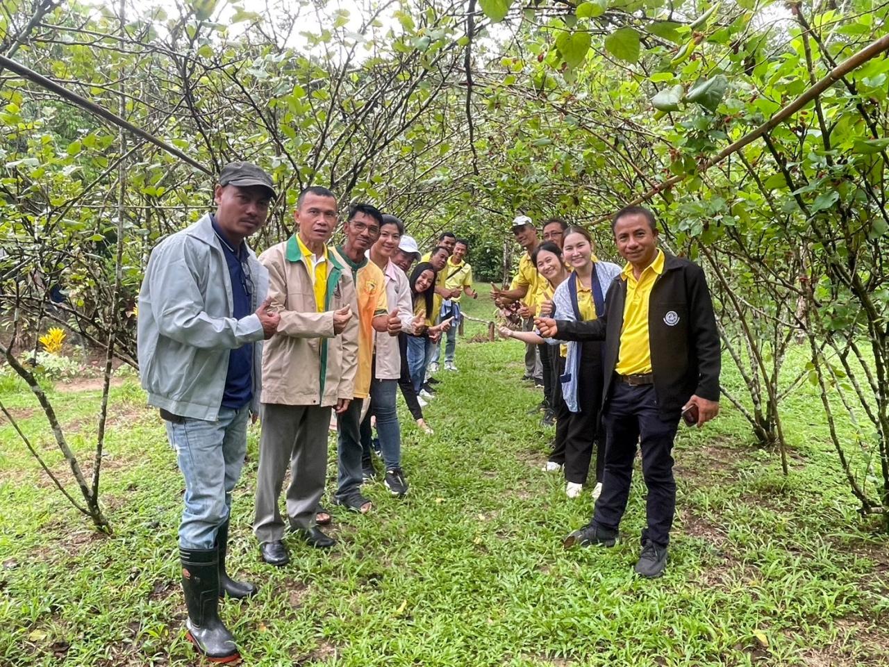 ภาพประกอบที่ 9