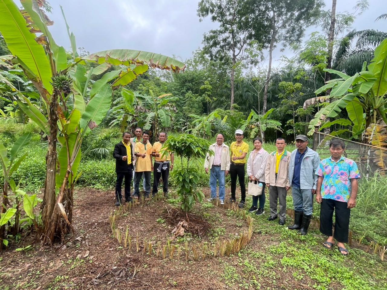 ภาพประกอบที่ 10