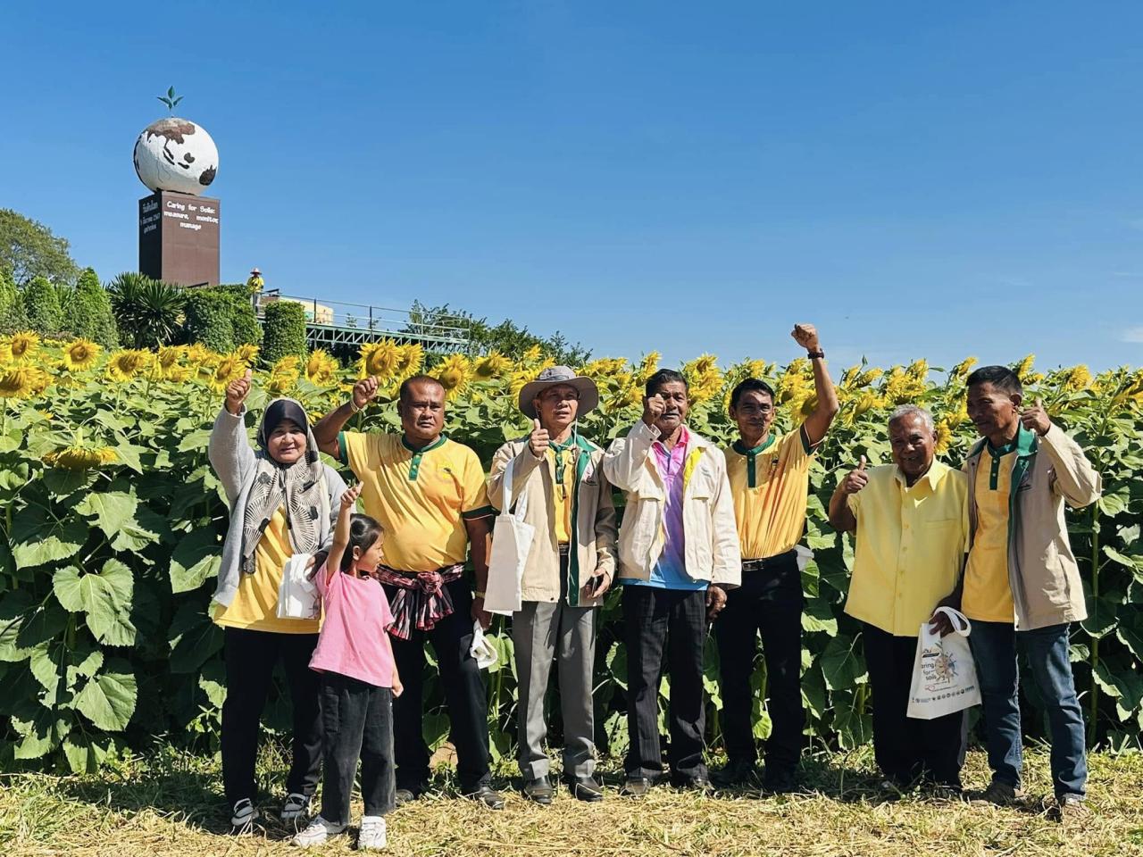 ภาพประกอบที่ 8