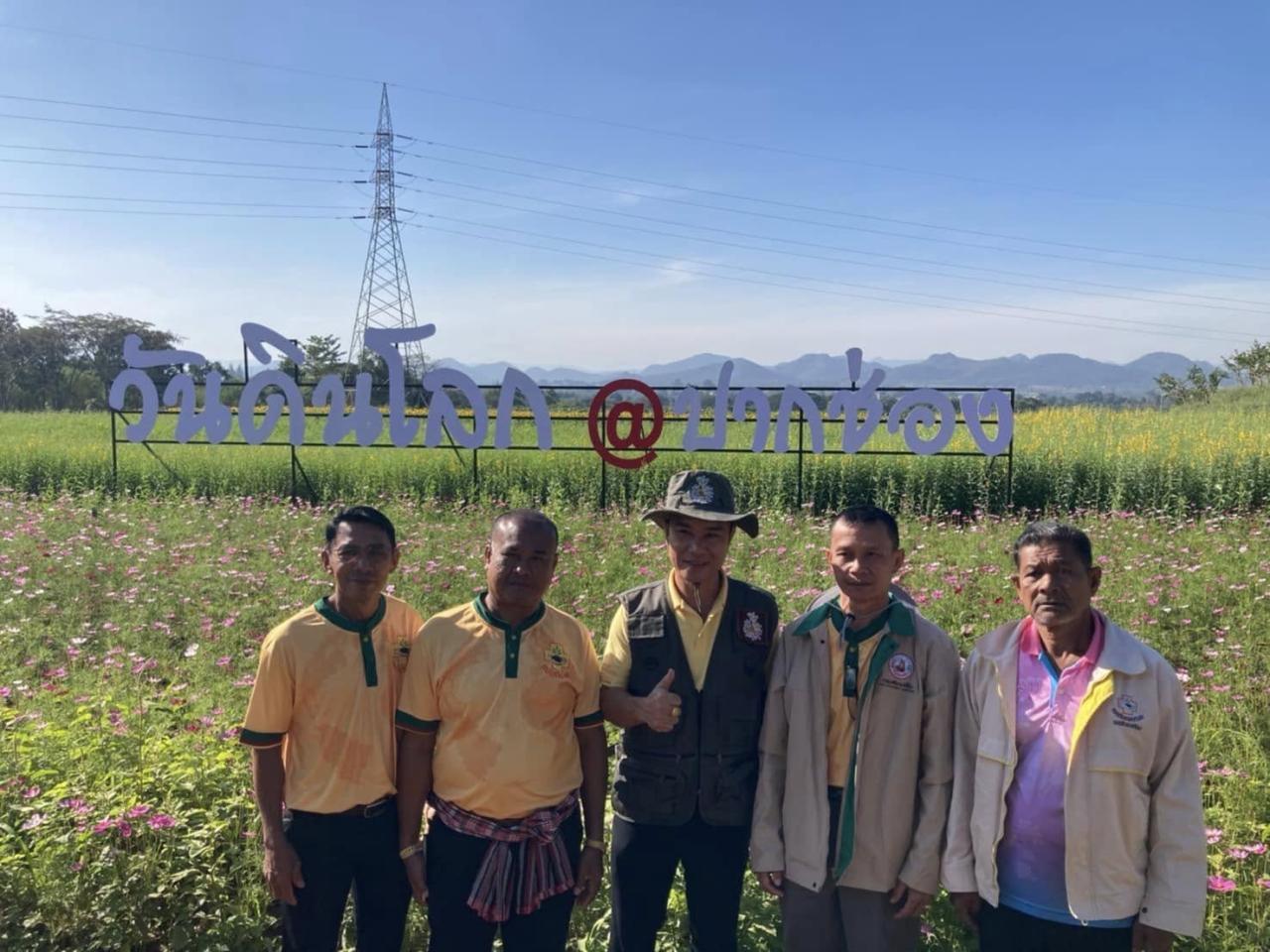 ภาพประกอบที่ 12