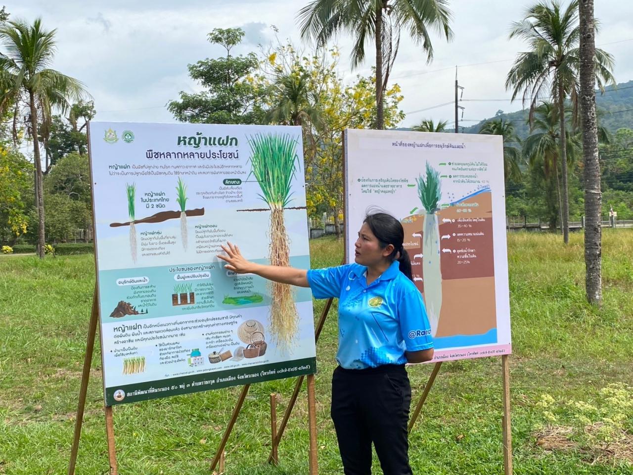 ภาพประกอบที่ 8