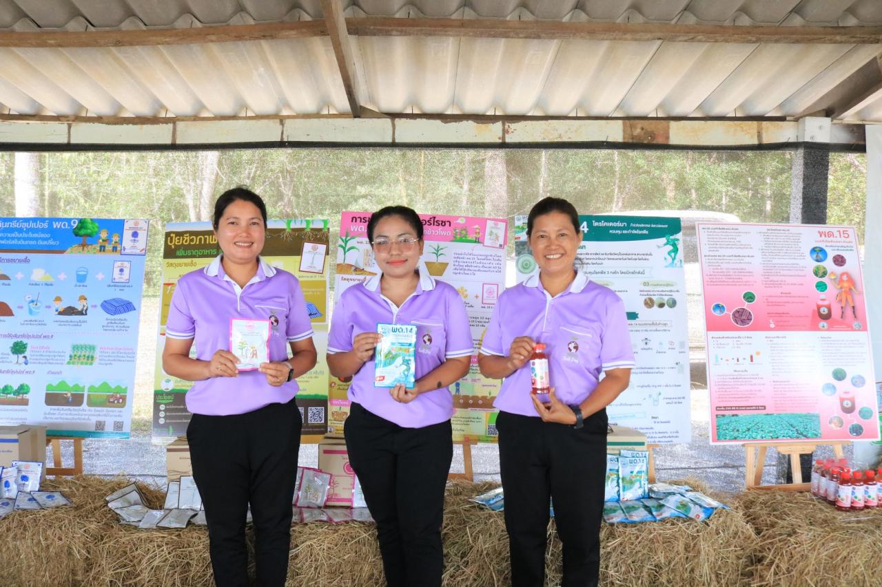 ภาพประกอบที่ 3