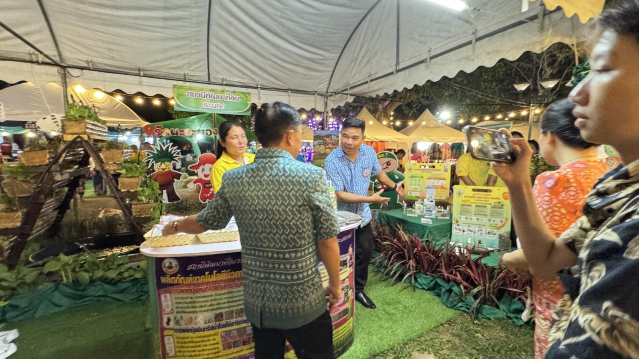 ภาพประกอบที่ 3