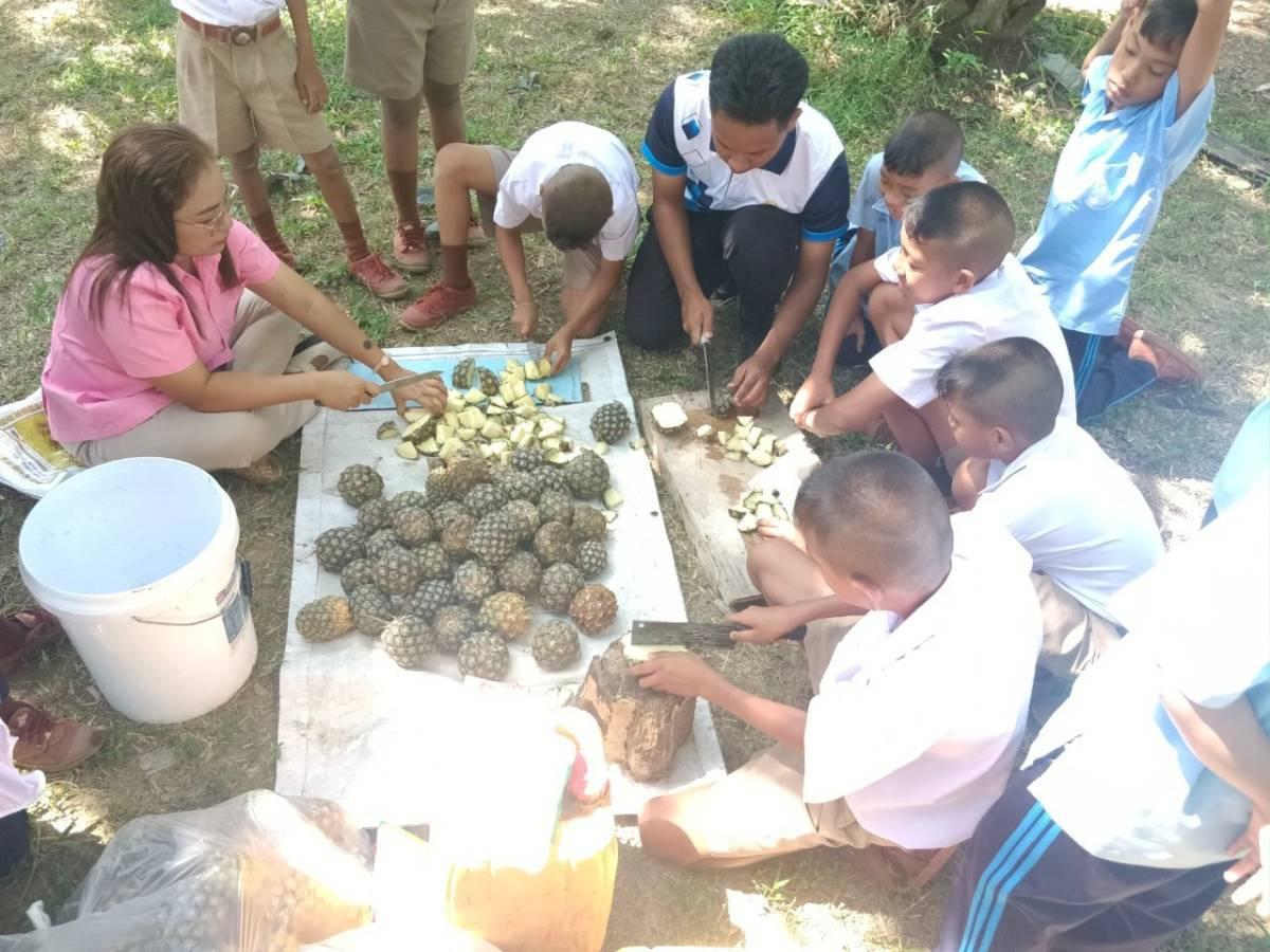 ภาพประกอบที่ 4