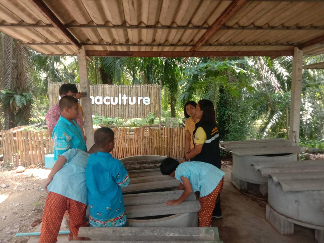 ภาพประกอบที่ 3