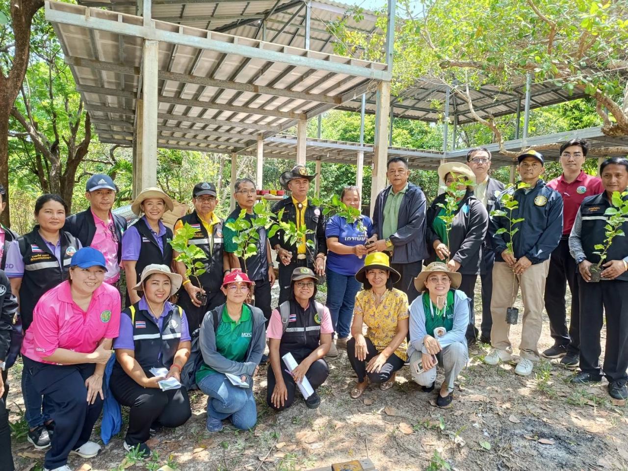 ภาพประกอบที่ 11