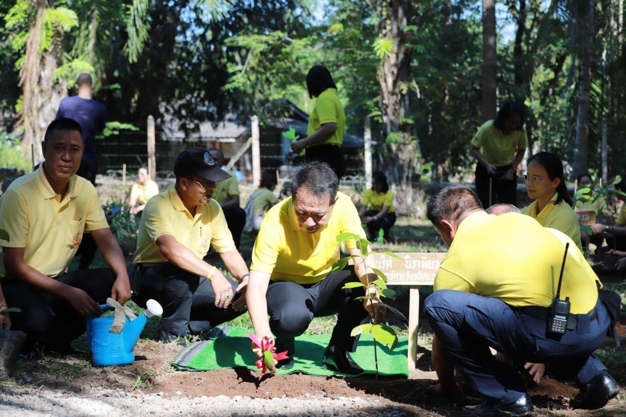 ภาพประกอบที่ 0