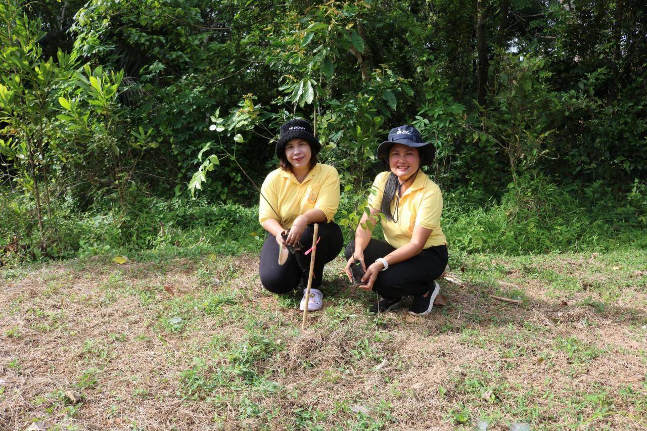 ภาพประกอบที่ 3