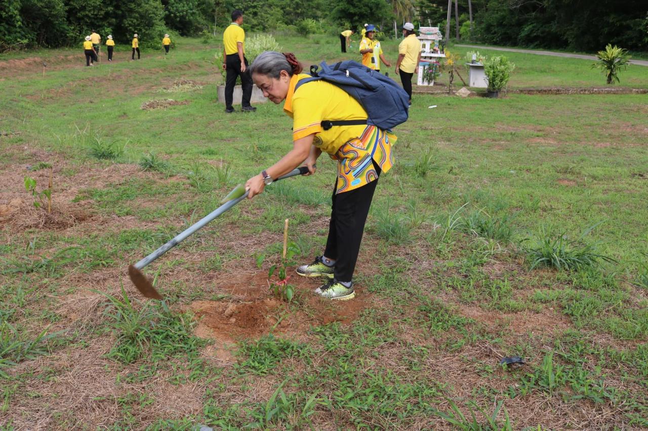 ภาพประกอบที่ 7