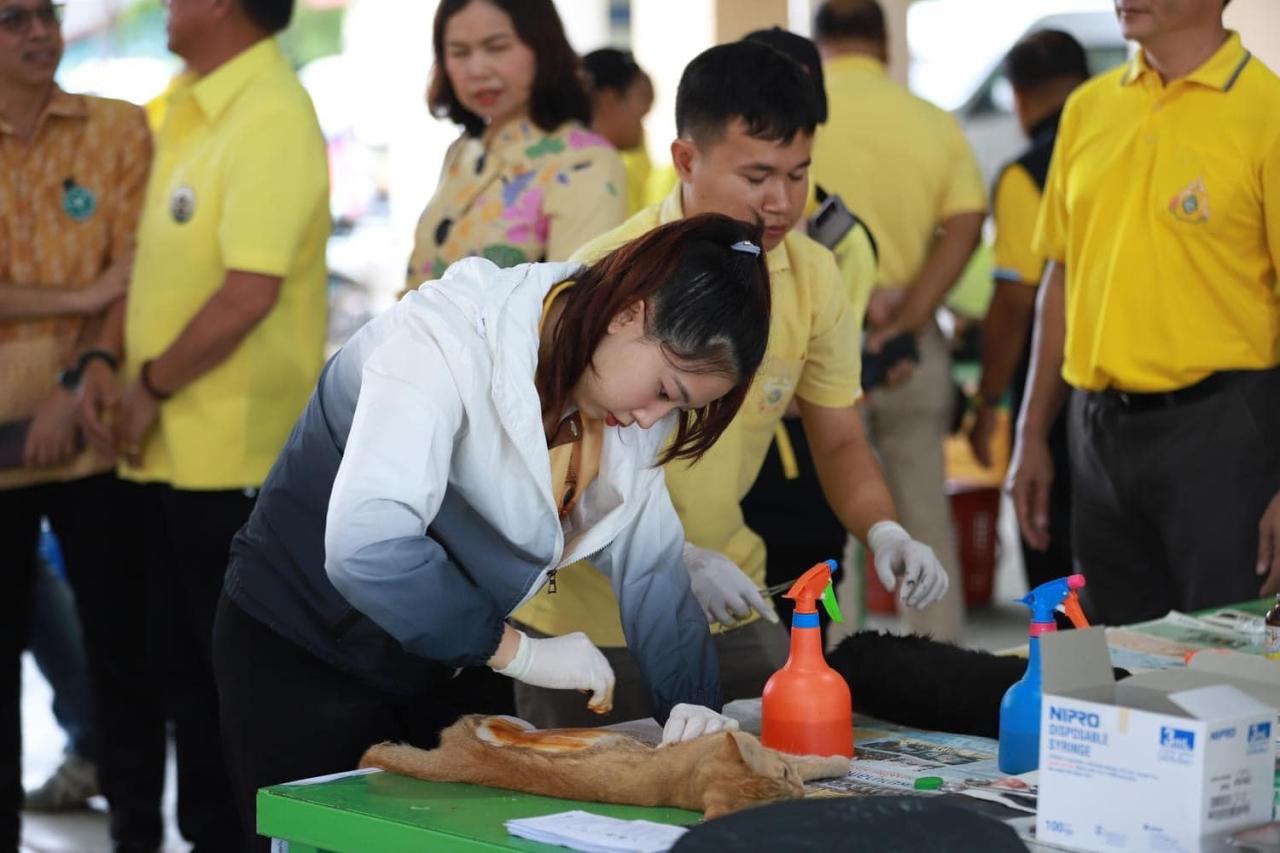 ภาพประกอบที่ 6