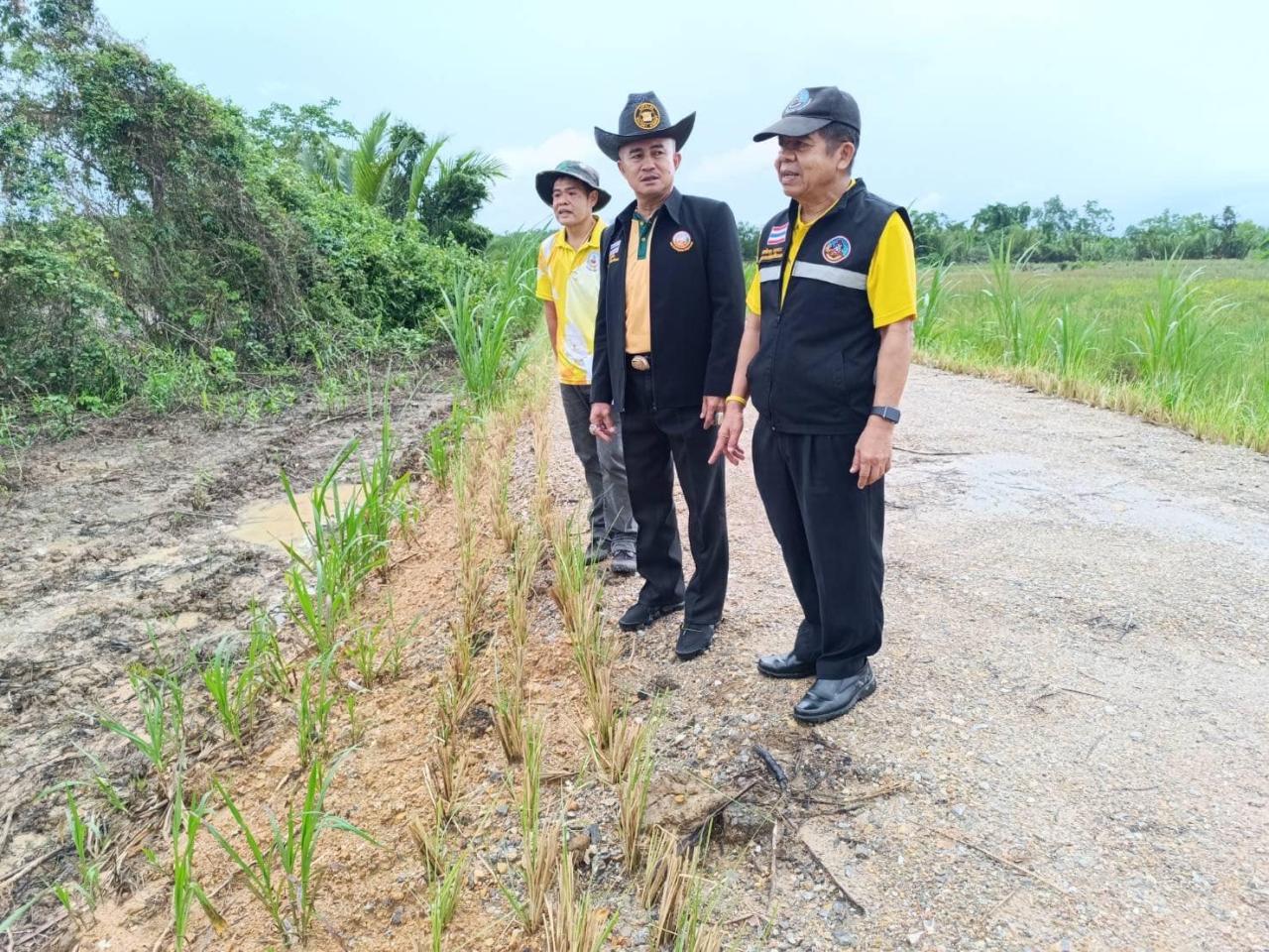 ภาพประกอบที่ 5