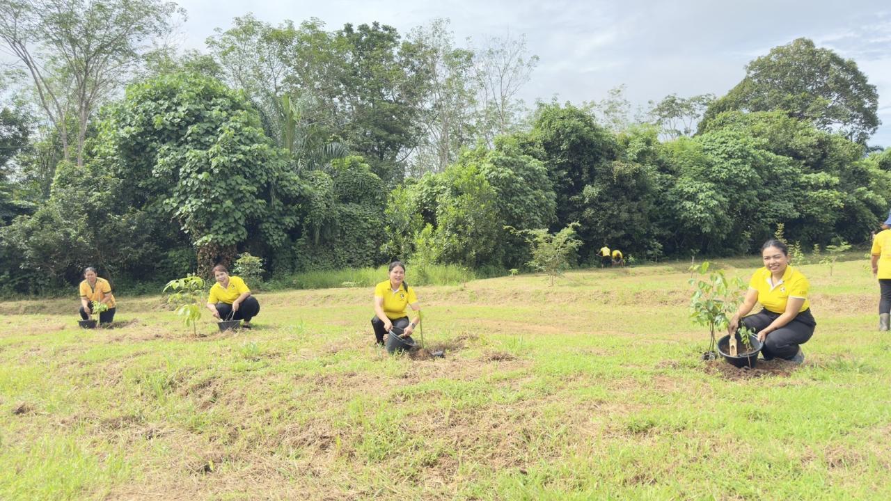 ภาพประกอบที่ 2