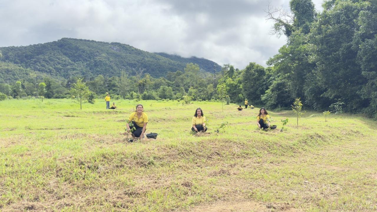 ภาพประกอบที่ 3